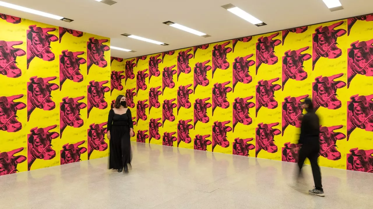 Warhol proti Warholovi vo Viedni