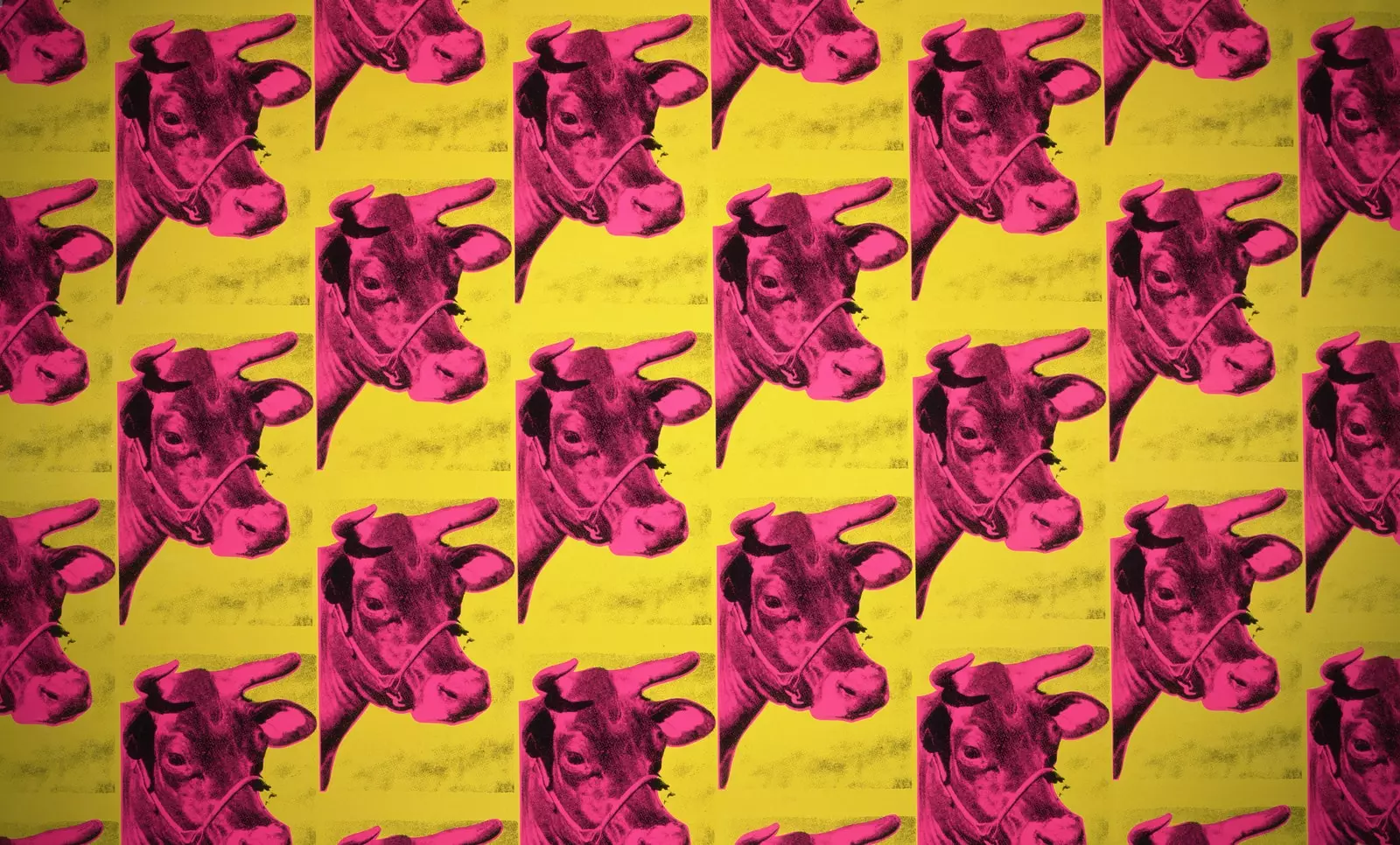 Andy Warhol İnek Duvar Kağıdı Sarı Üzerine Pembe 1966 Reprint 1994