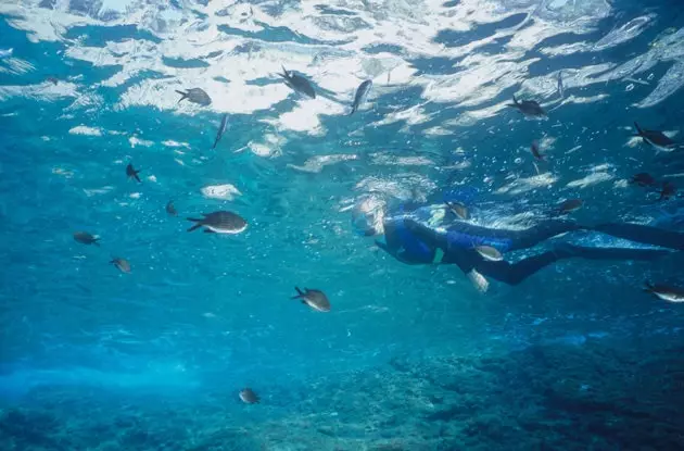 Snorkeling në Costa Brava