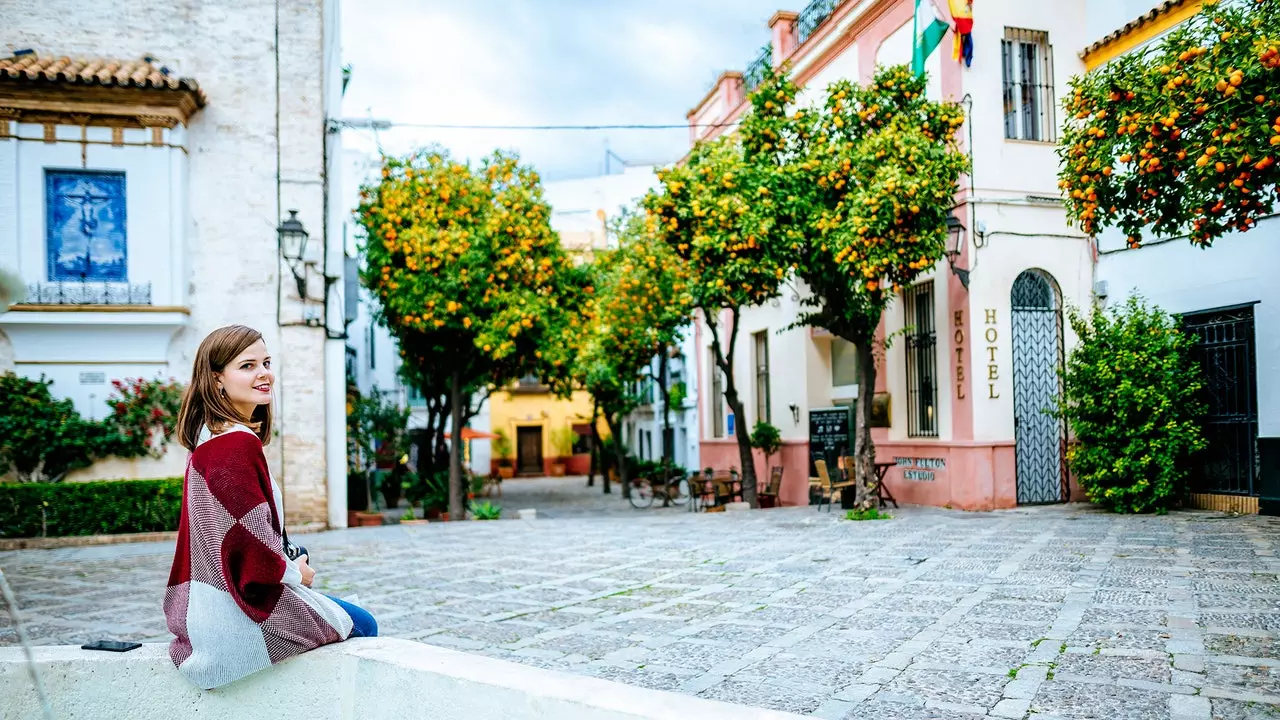 Sevilja f'mixja waħda: ġurnata fost siġar tal-larinġ u kwadri charming