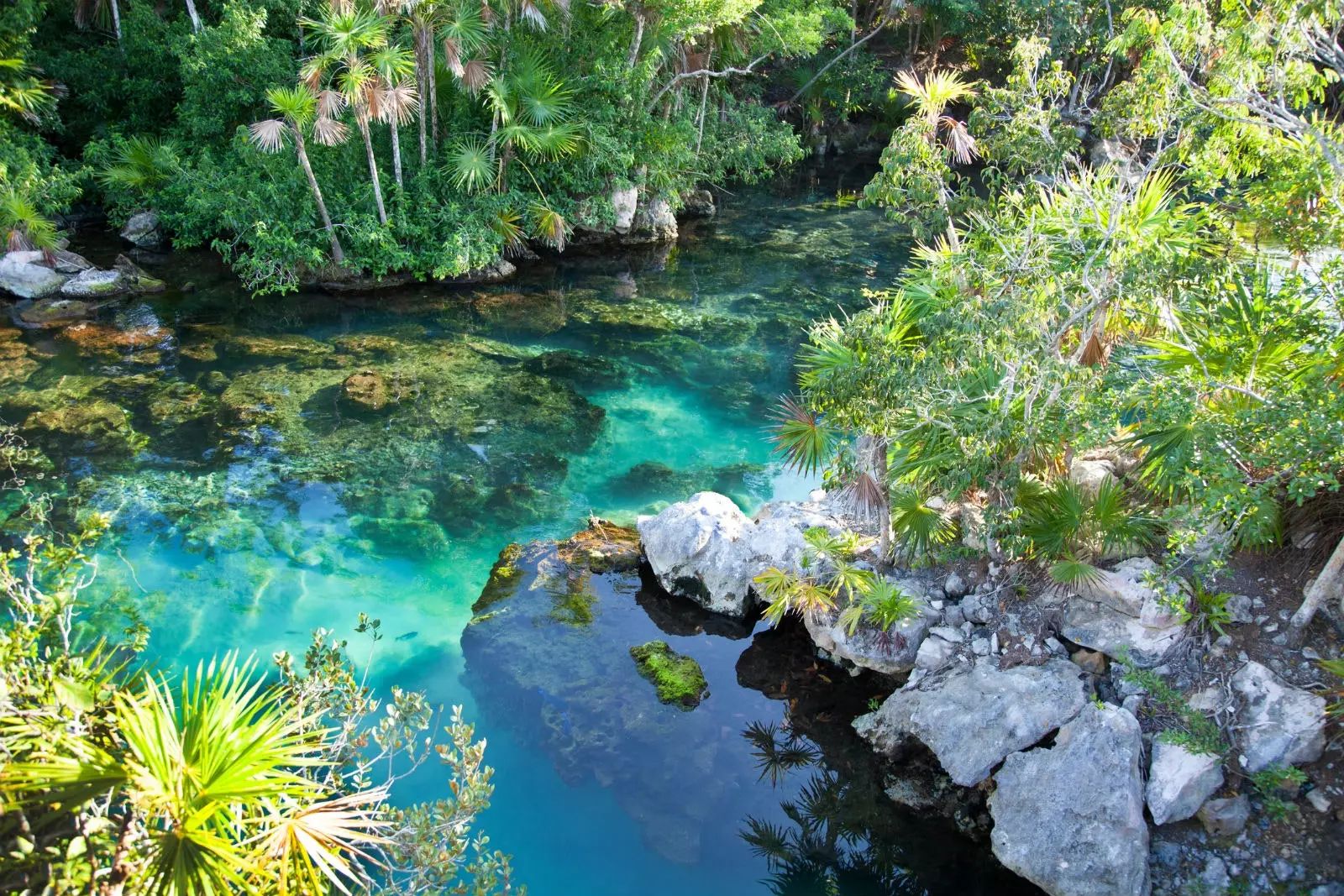 Impresivni cenote v XelHa.