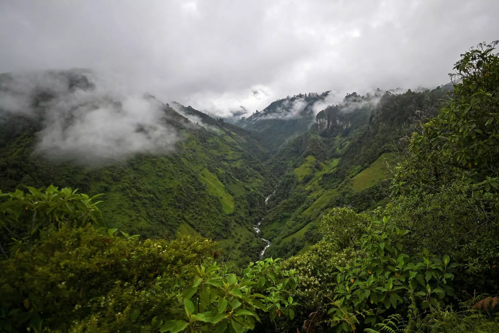 Luftfoto av den nasjonale naturparken Purac Colombia