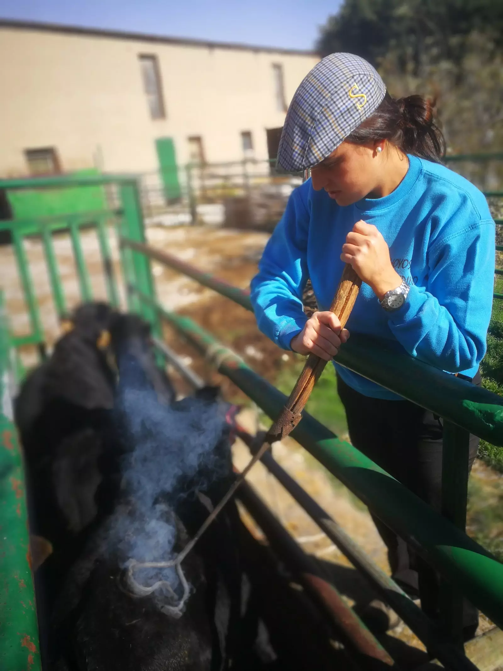 Els esquelles de la vall.