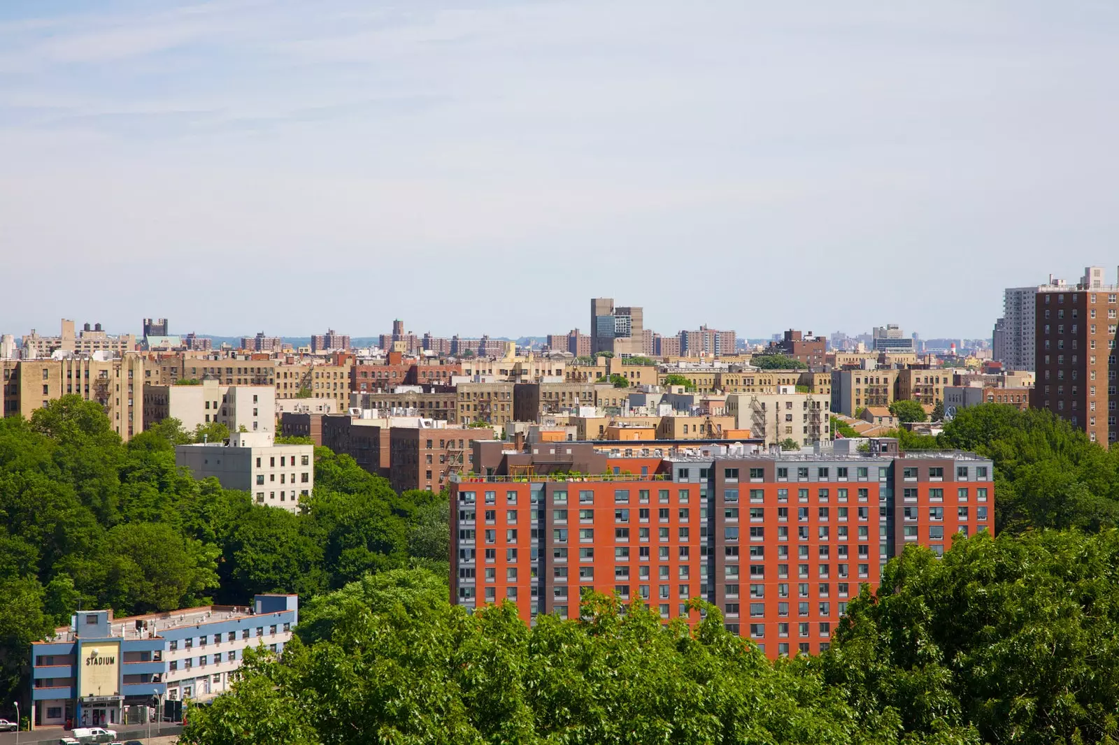 Masih banyak lagi yang bisa dilihat di Bronx...