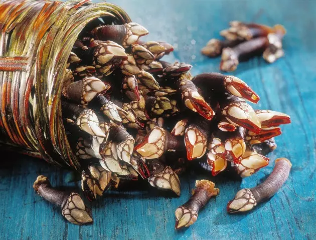 Le festin du capitaine Nemo fruits de mer de Galice