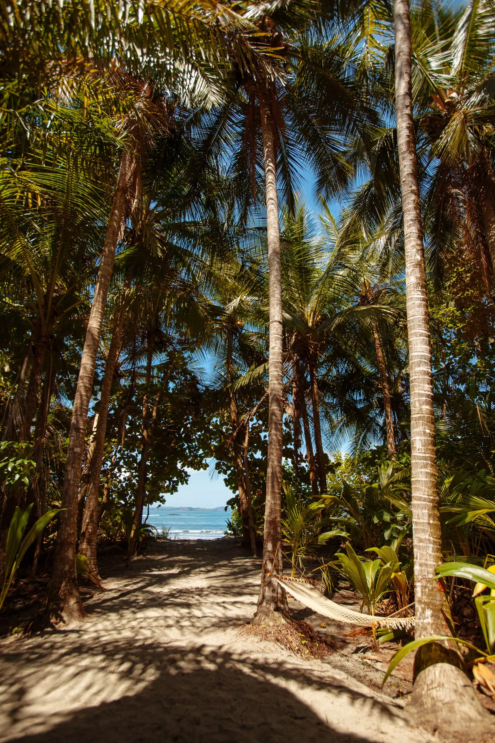 ساحل بهشتی استراحتگاه Isla Palenque Panam.