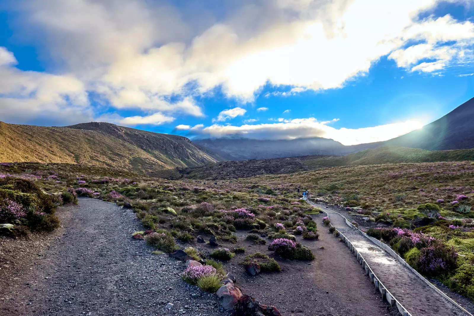 Tongariro Ulusal Parkı