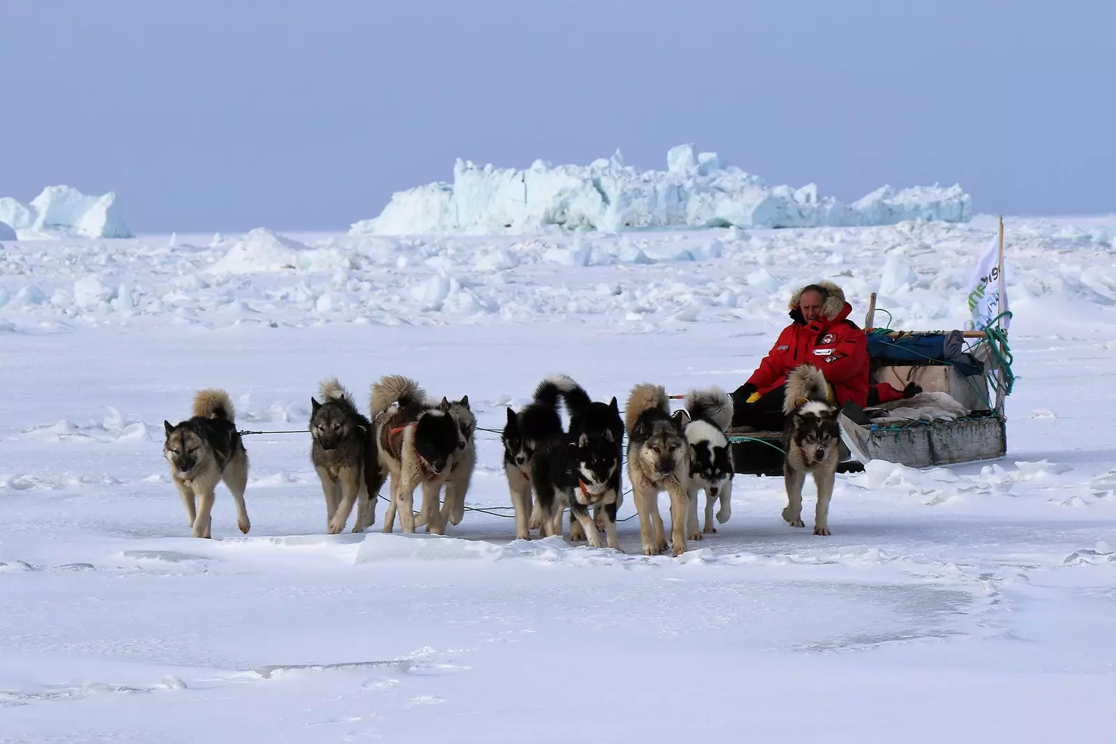 Pengembaraan menyeberangi Greenland dengan menaiki kereta luncur anjing