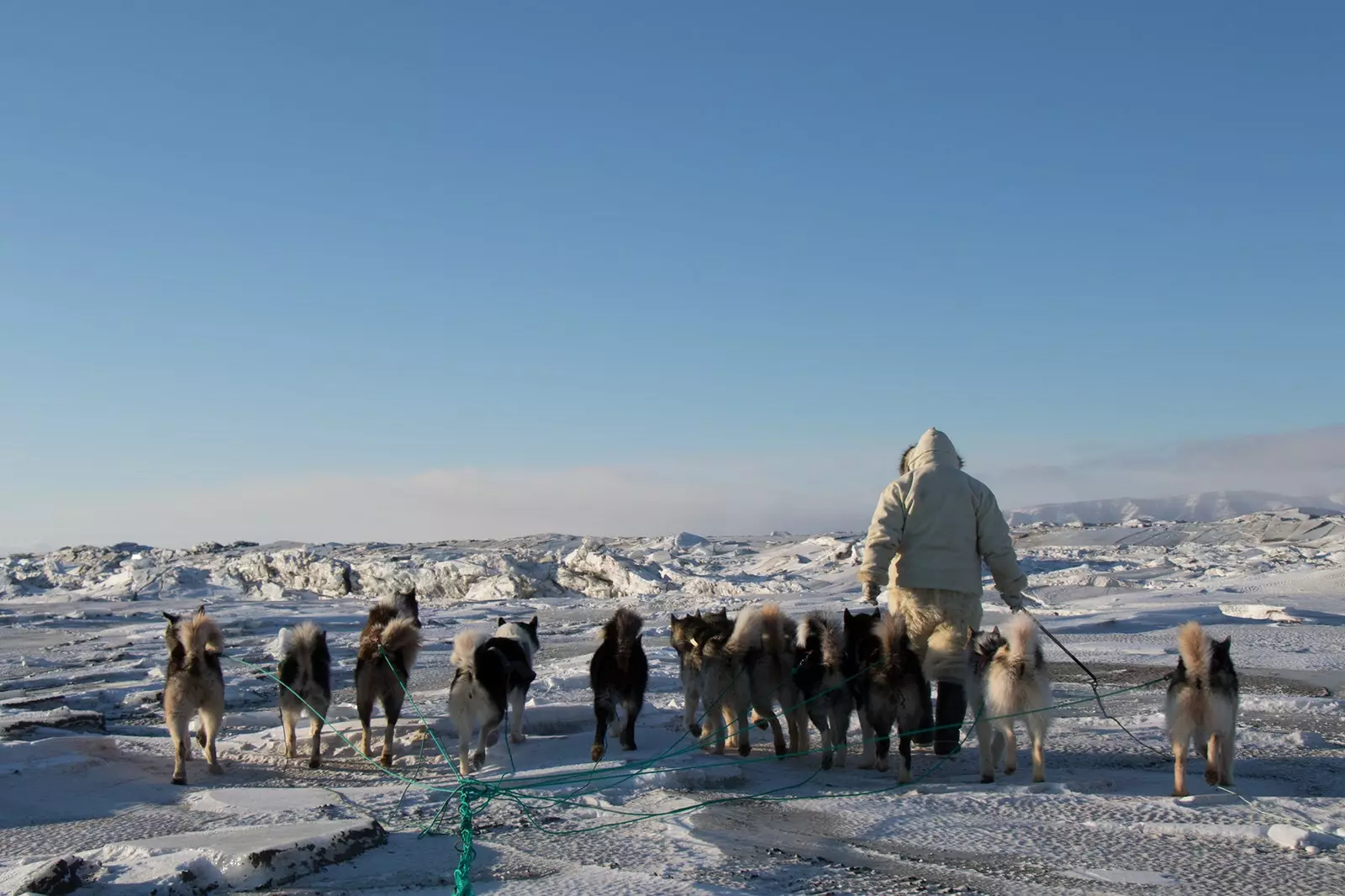 An eachtra trasnú Ghraonlainn i sled madra