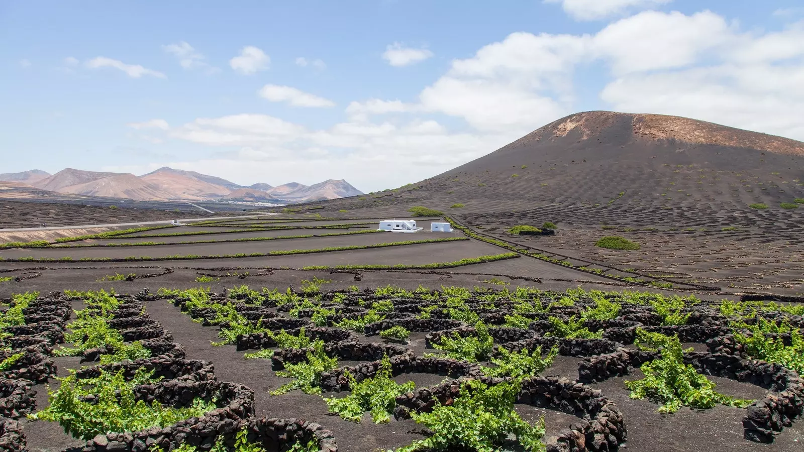 La Geria Lanzarote