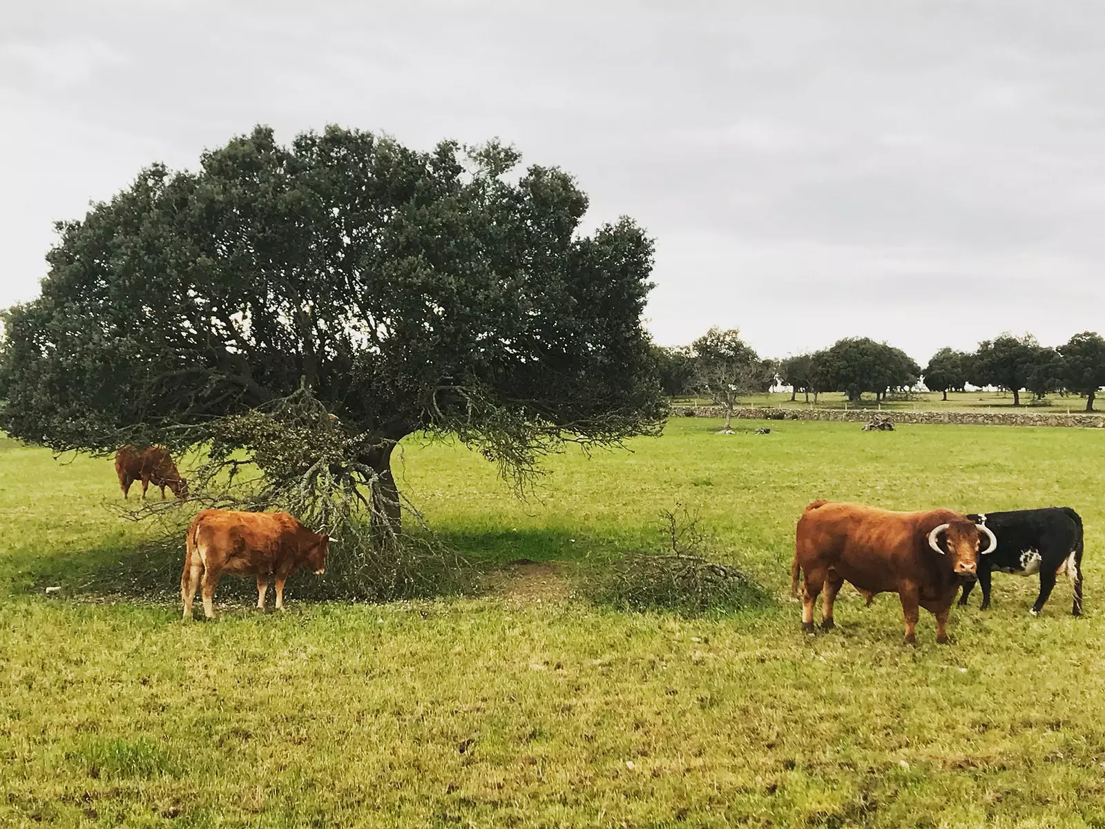 Landschappen van de Arribes del Duero