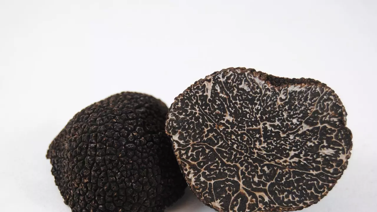 Truffle iswed: it-teżor kulinari li jħabbat moħbi fl-artijiet kesħin ta' Aragona