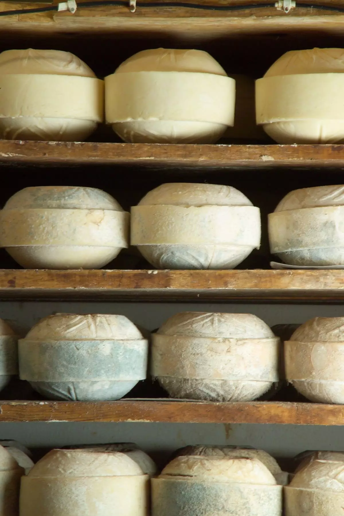 Affinage des fromages à la fromagerie artisanale de Los Corrales