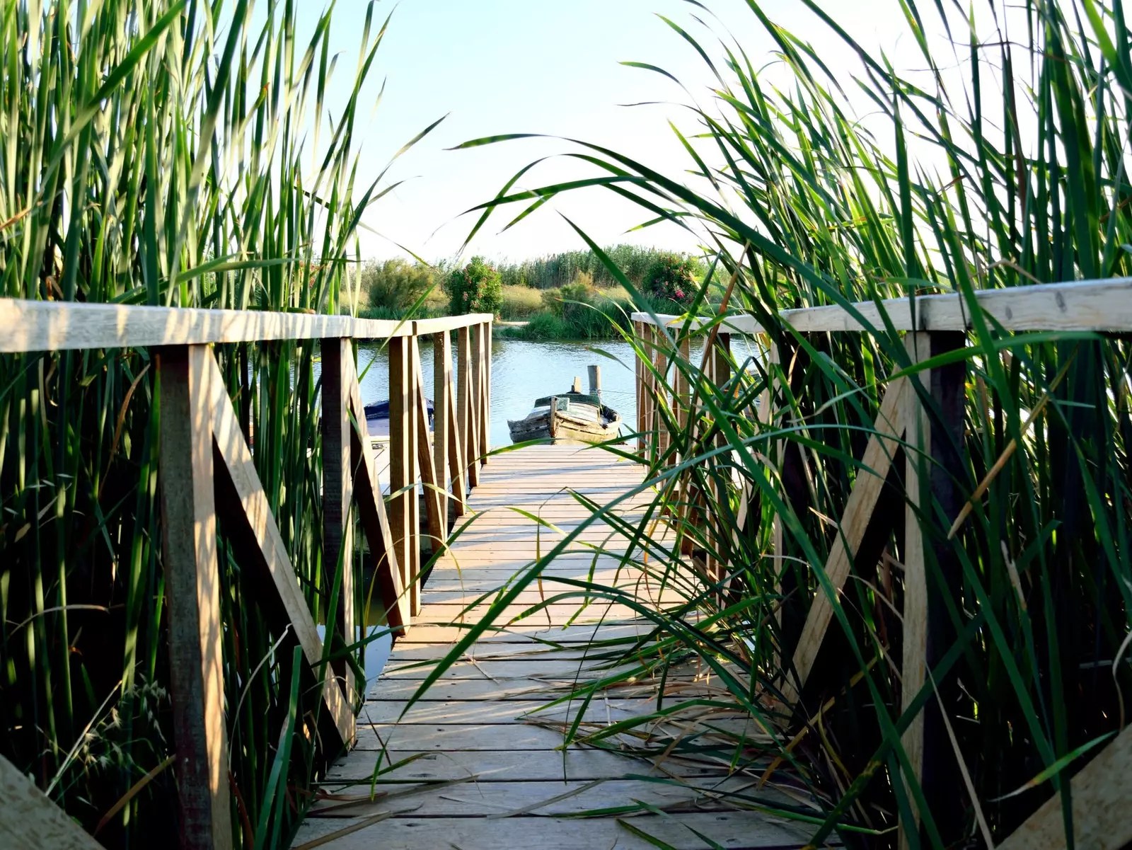 Albufera in Valencia