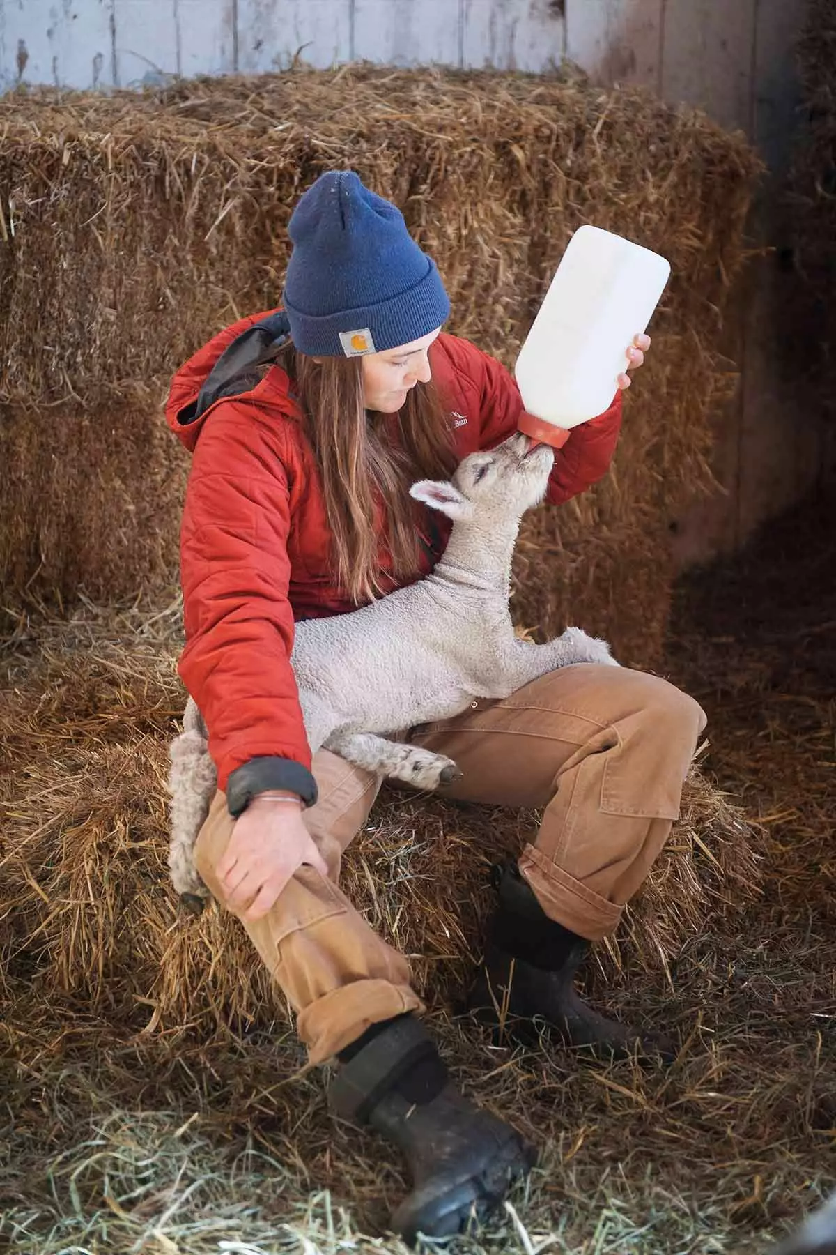 Ogni dettaglio conta alla Clark Farm