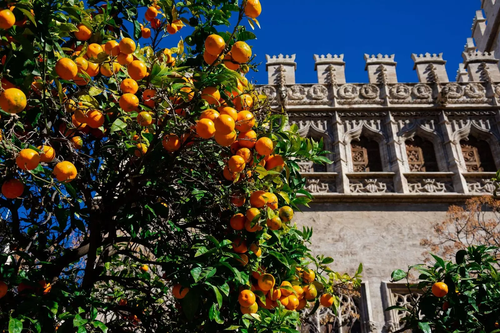 Mặt tiền của La Lonja de la Seda ở Valencia.