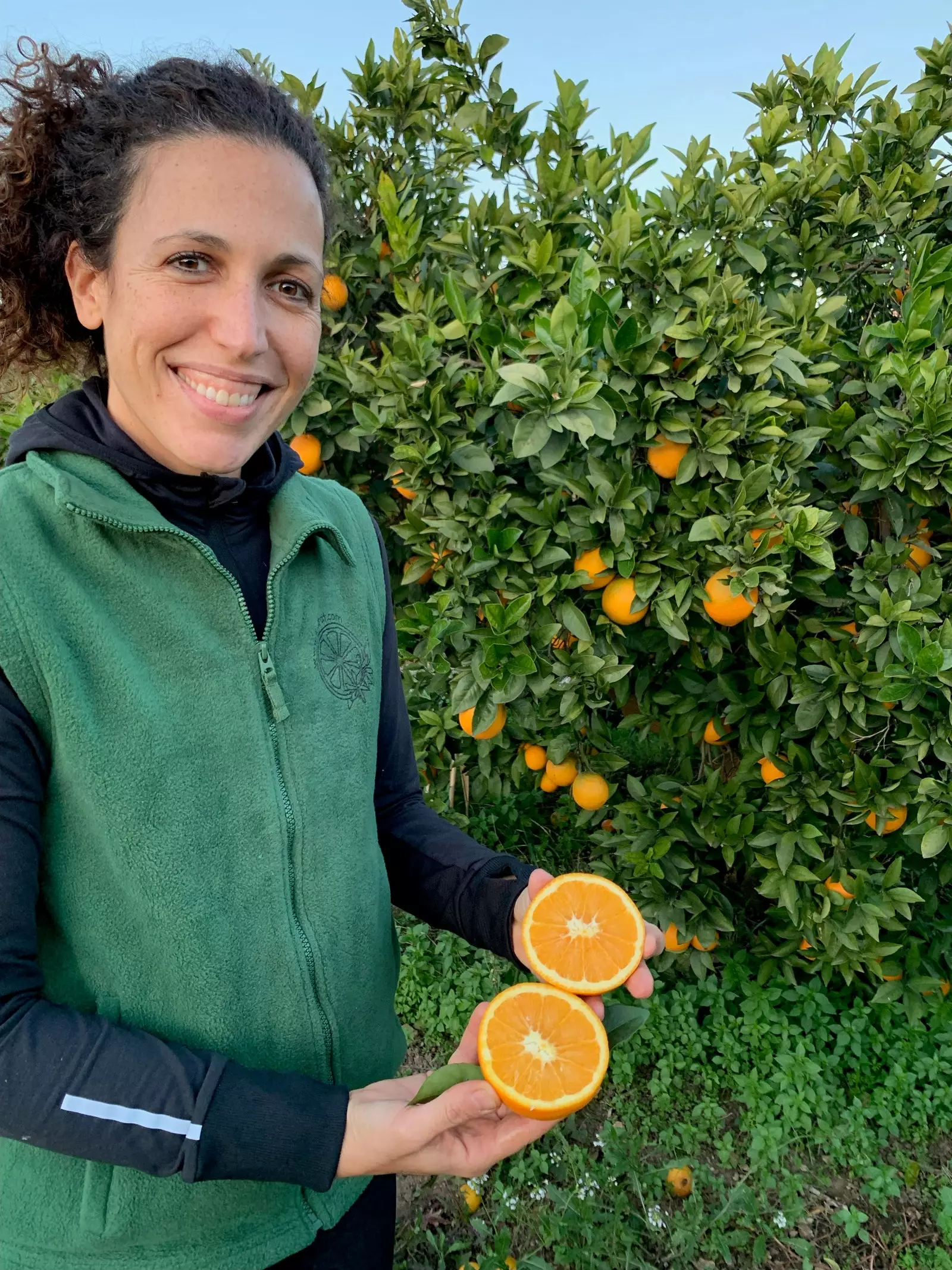 The oranges are of the Navelina variety.