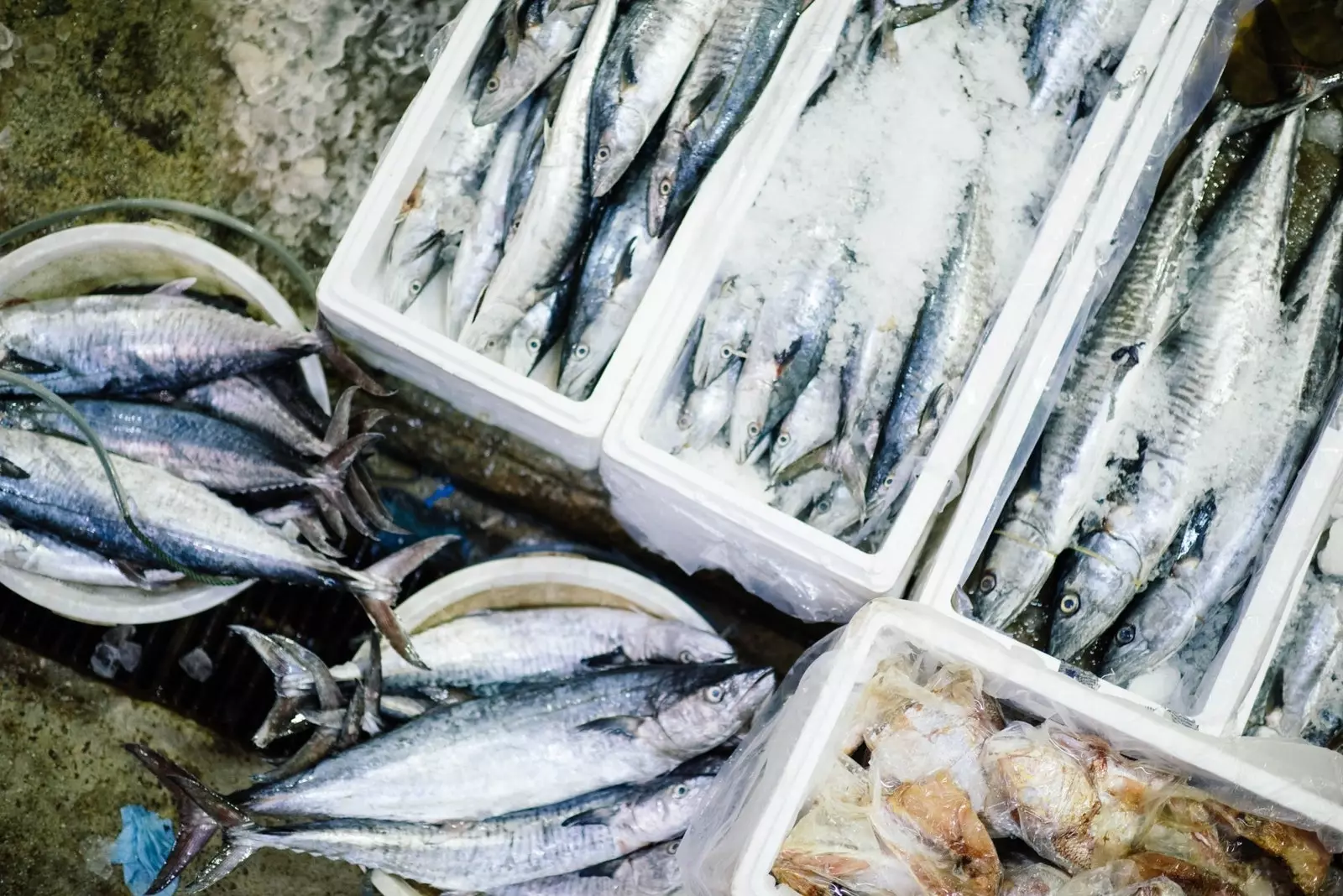 Nas Astúrias você pode comer o Cantábrico