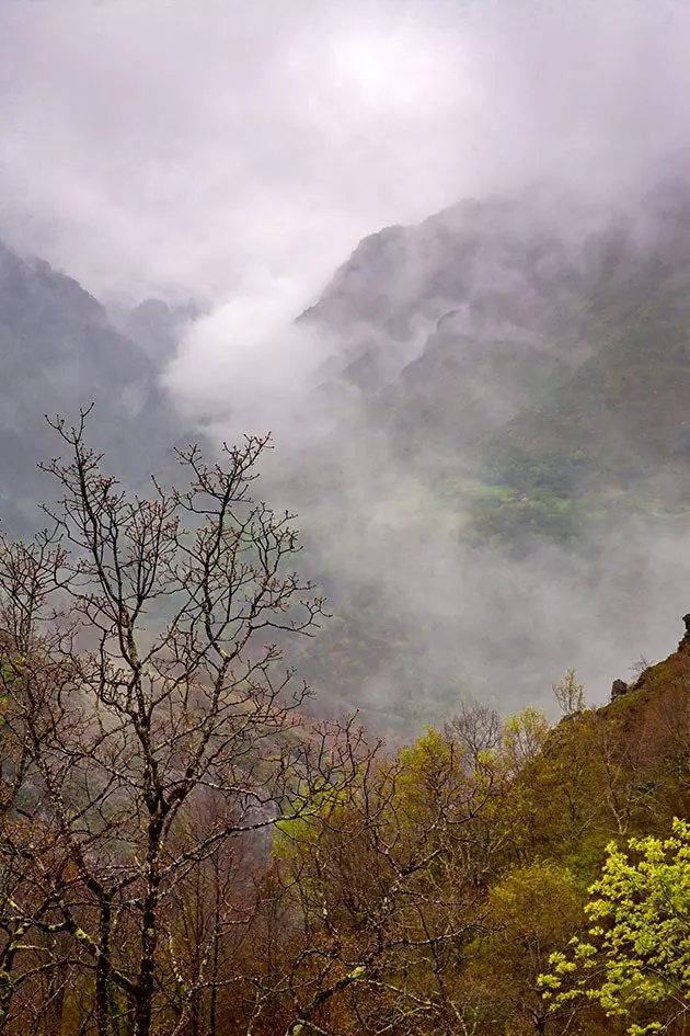 peizazhi i asturias