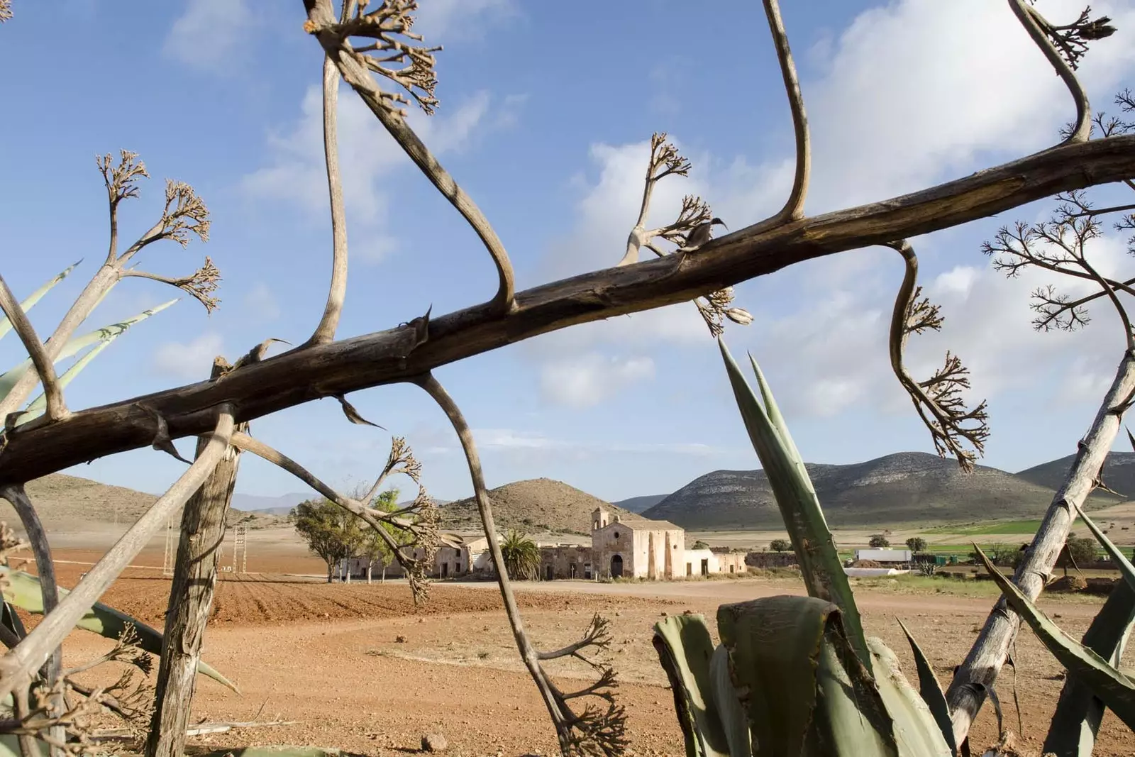 pitas dans la ferme du frère almeria