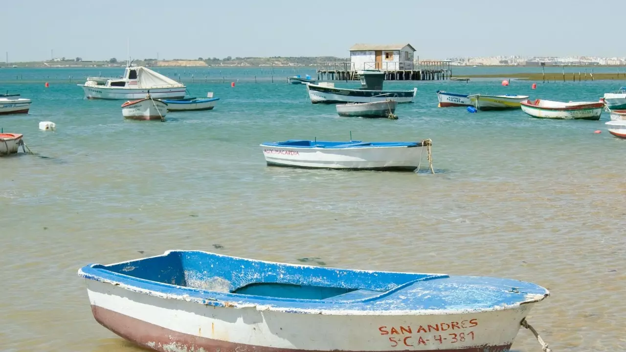 Comune di Sancti Petri: la ridotta marina che rende omaggio al tonno di almadraba