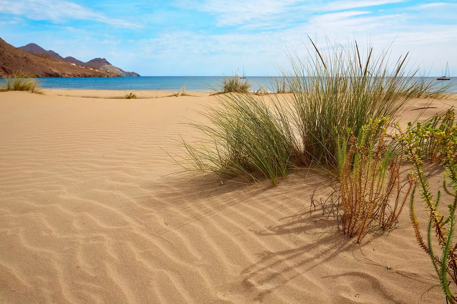 Genovese Beach