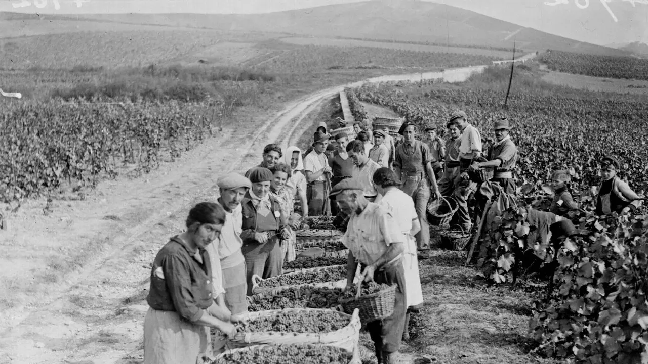 Prancūziškas vynas, vertinamas Hitlerio lobis