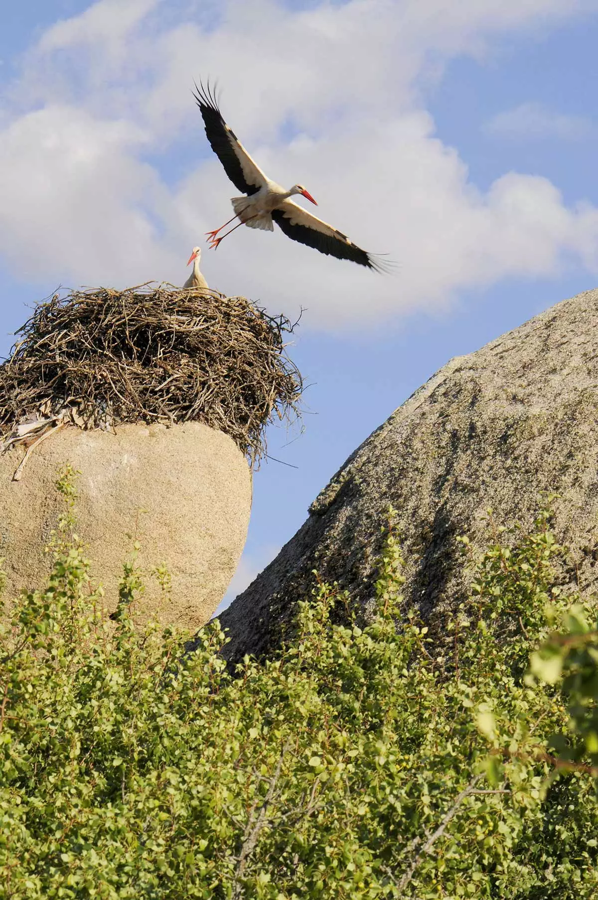 Los Barruecos natura e arte d'avanguardia