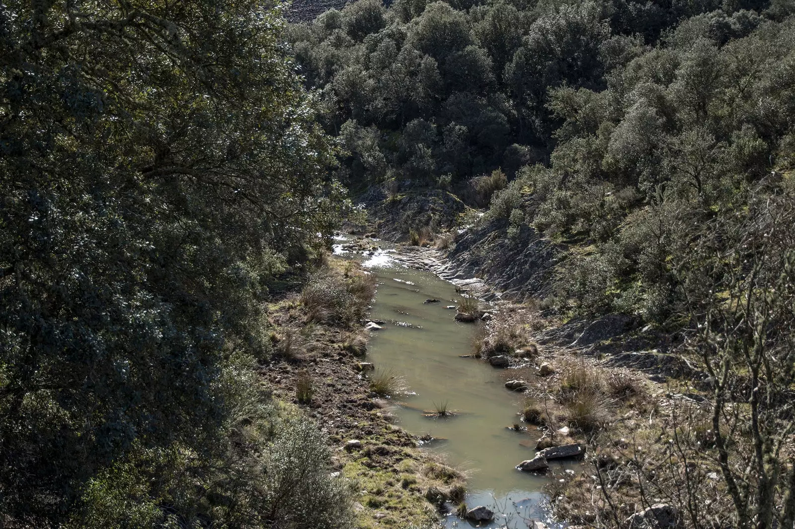 Parc Nacional de Cabañeros descobrint el 'Serengueti espanyol'