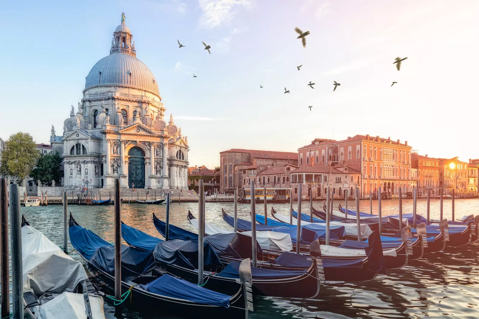 Santa Maria della Salute Venezia Italia