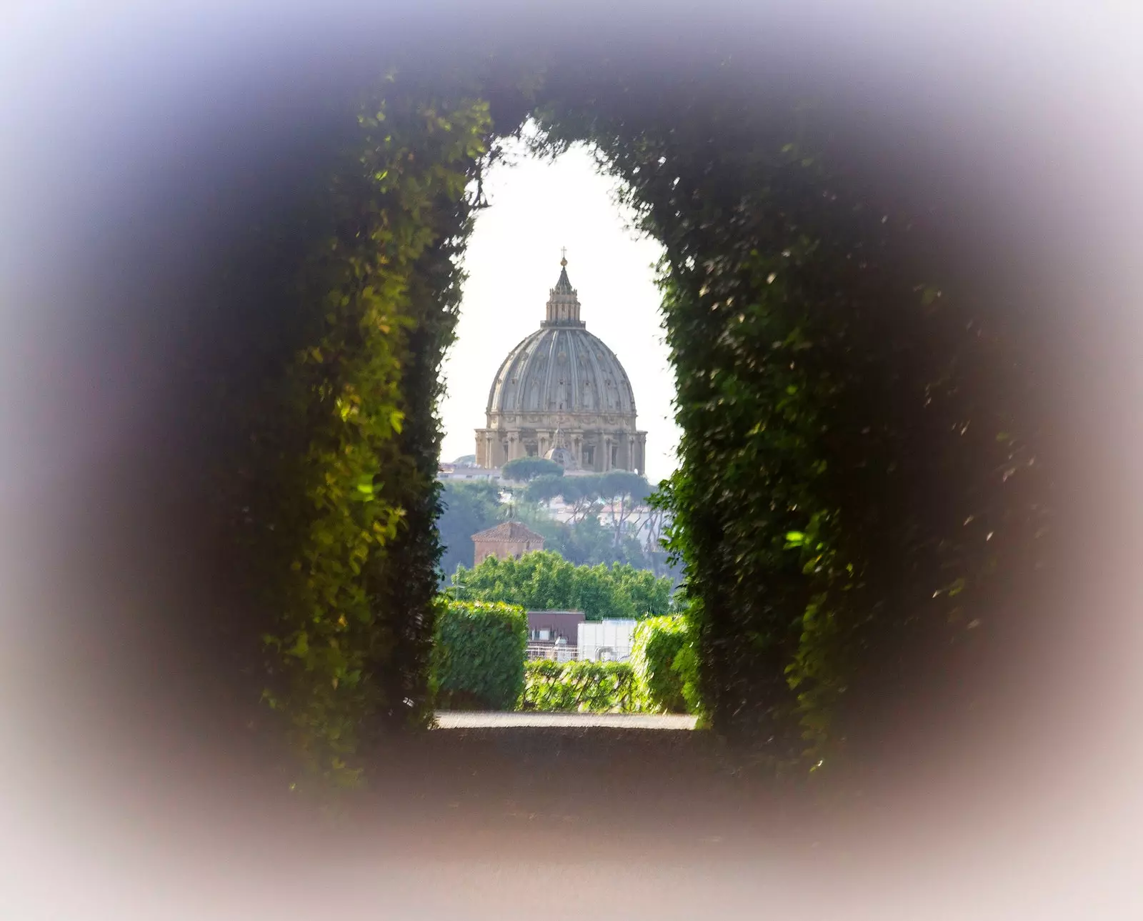 La cupola di San Pietro dal Giardino degli Aranci Roma Italia