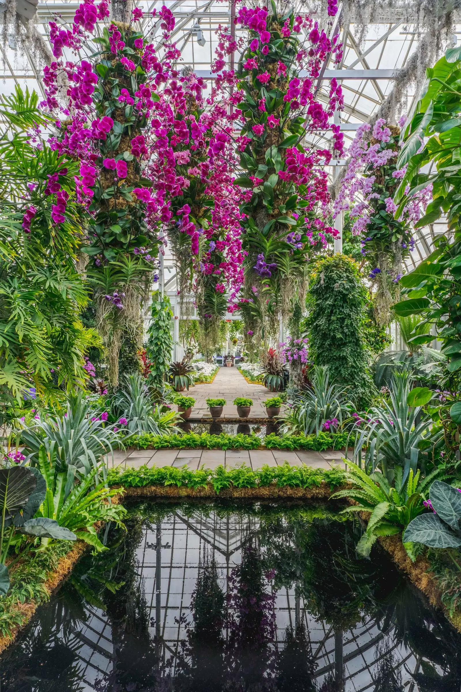 Le Jardin Botanique mérite votre visite.