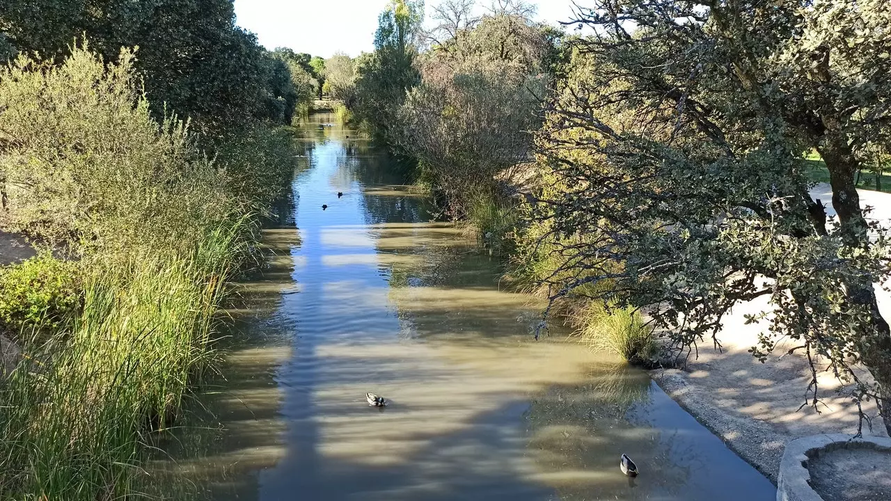 Dehesa de Navalcarbón, de groene long van Las Rozas de Madrid