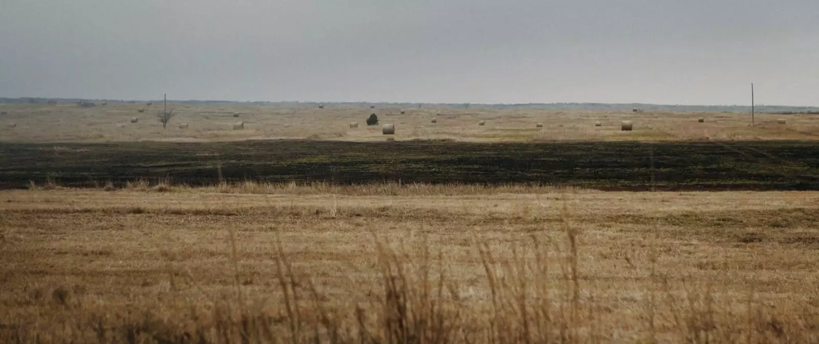 Beagnach Taibhsí