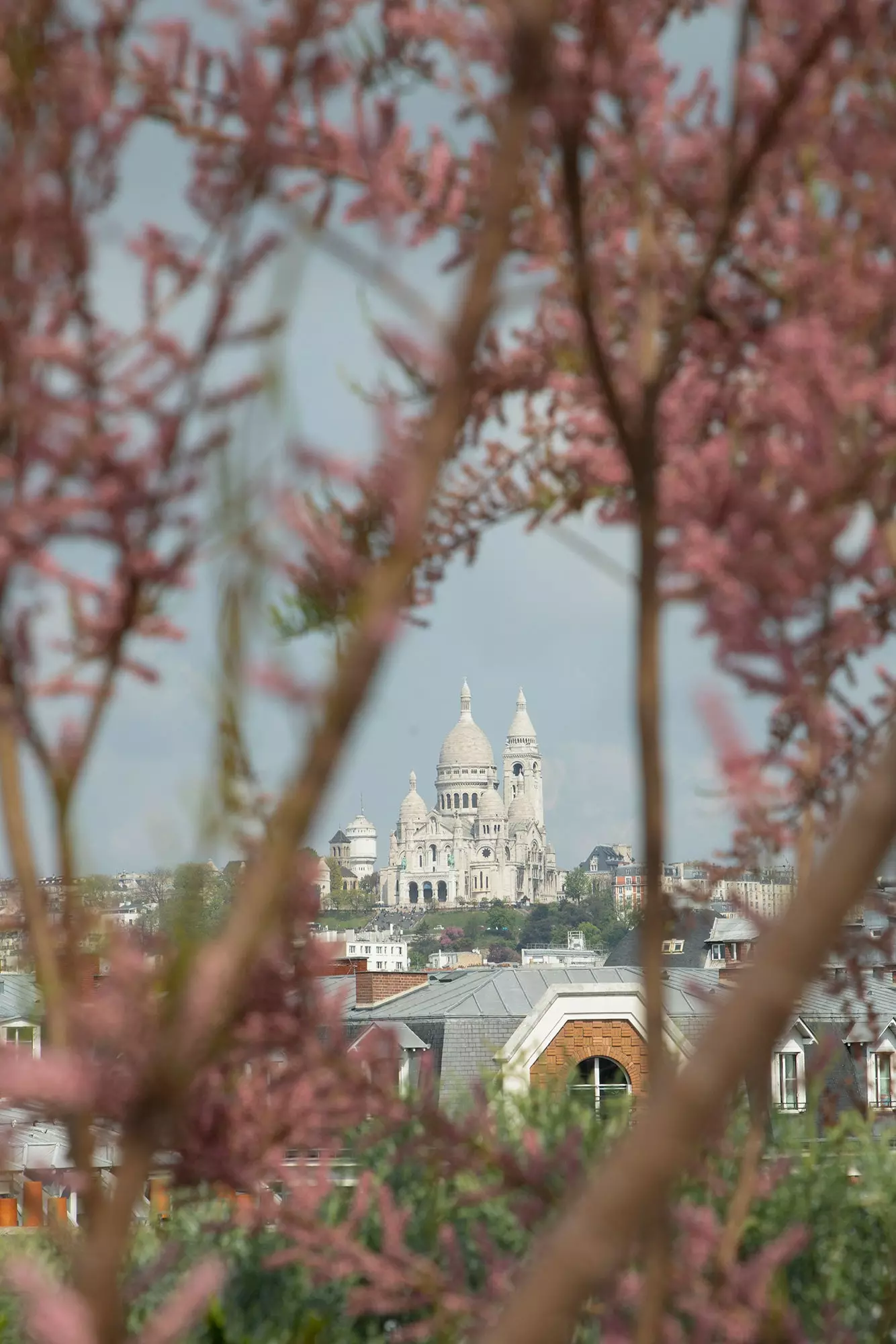 Views of the Sacr Coeur from Maison Alaena Paris