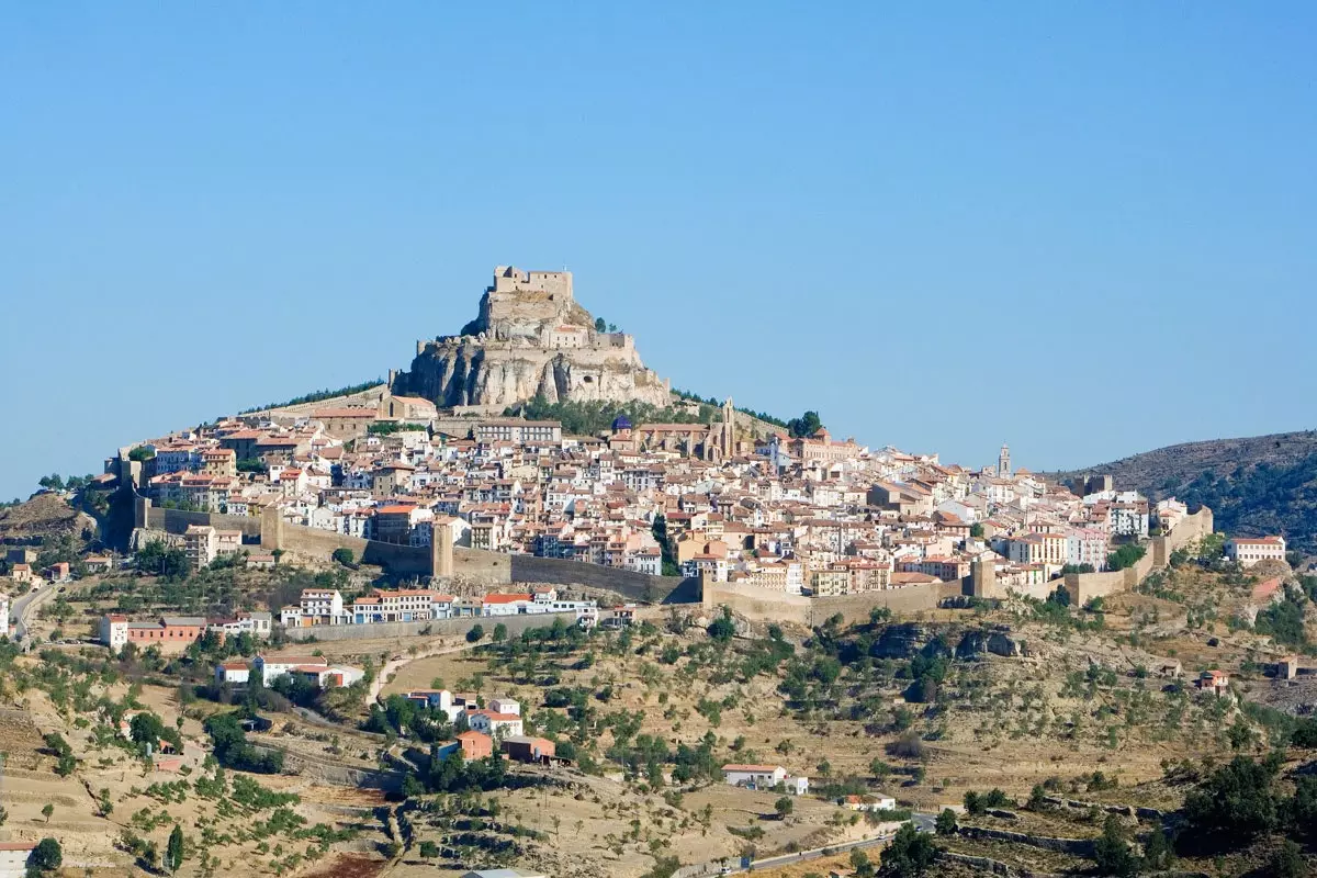 Morella