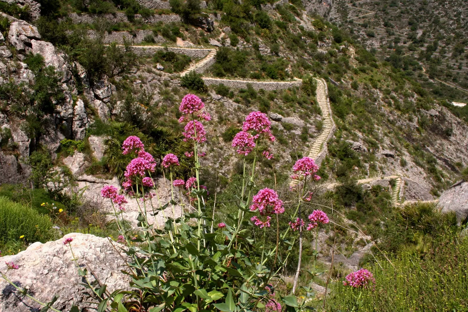 Περισσότερα από 6.700 σκαλοπάτια λαξευμένα στο βράχο συνθέτουν τη διαδρομή με το παρατσούκλι «ο καθεδρικός ναός της πεζοπορίας».