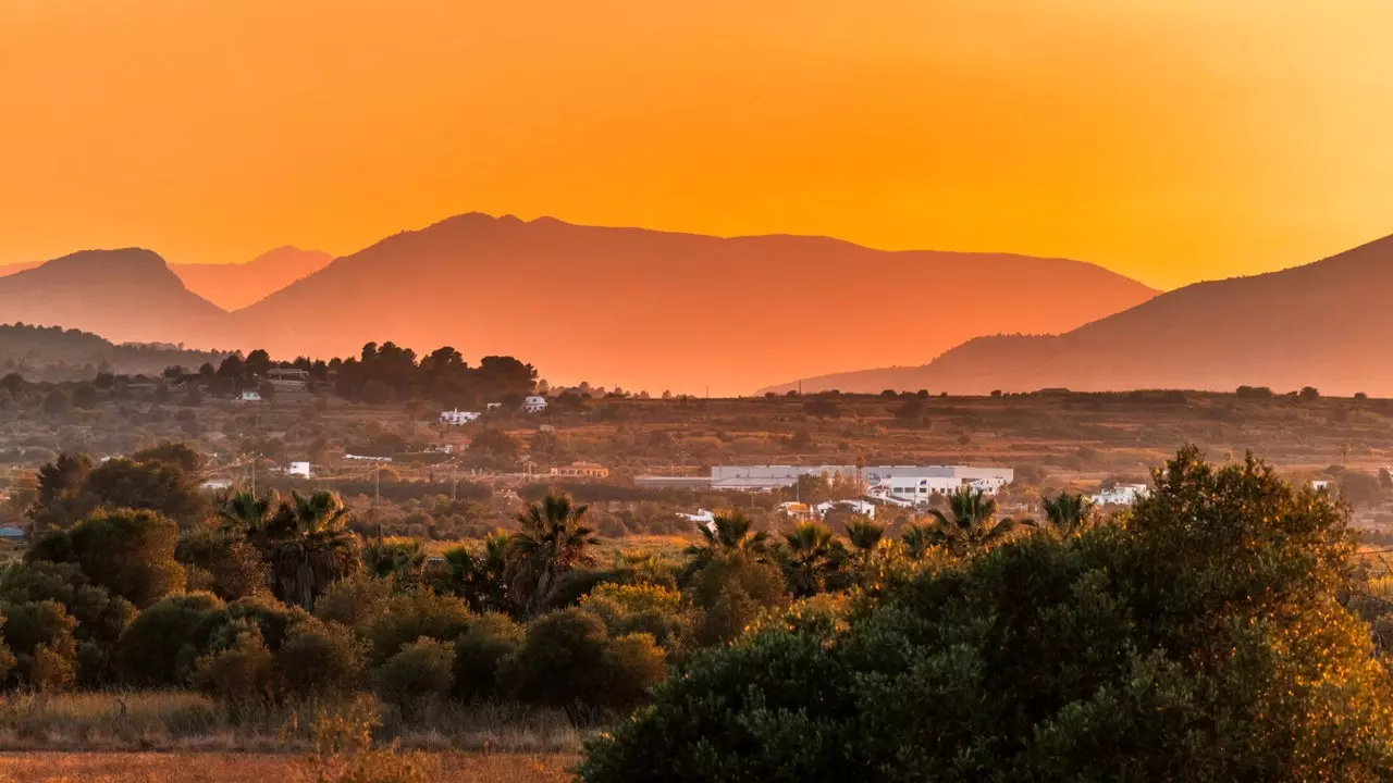 Alicante također cvjeta u jesen