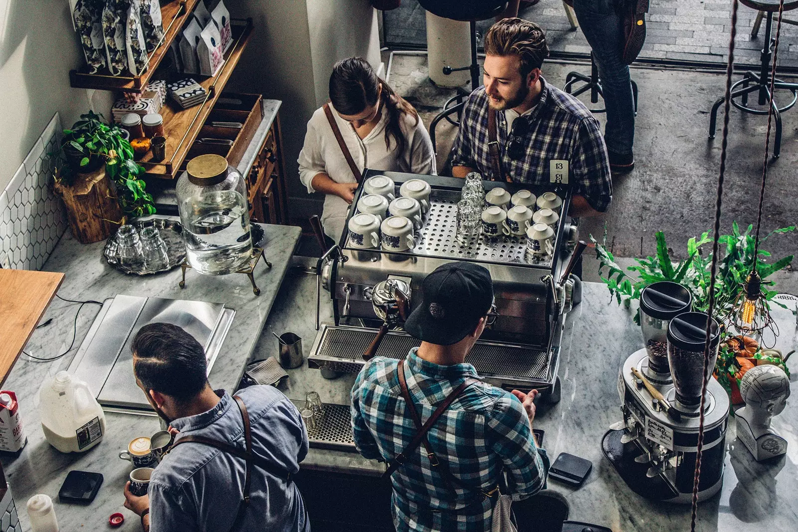 Grundläggande ordbok för kaffeodlare