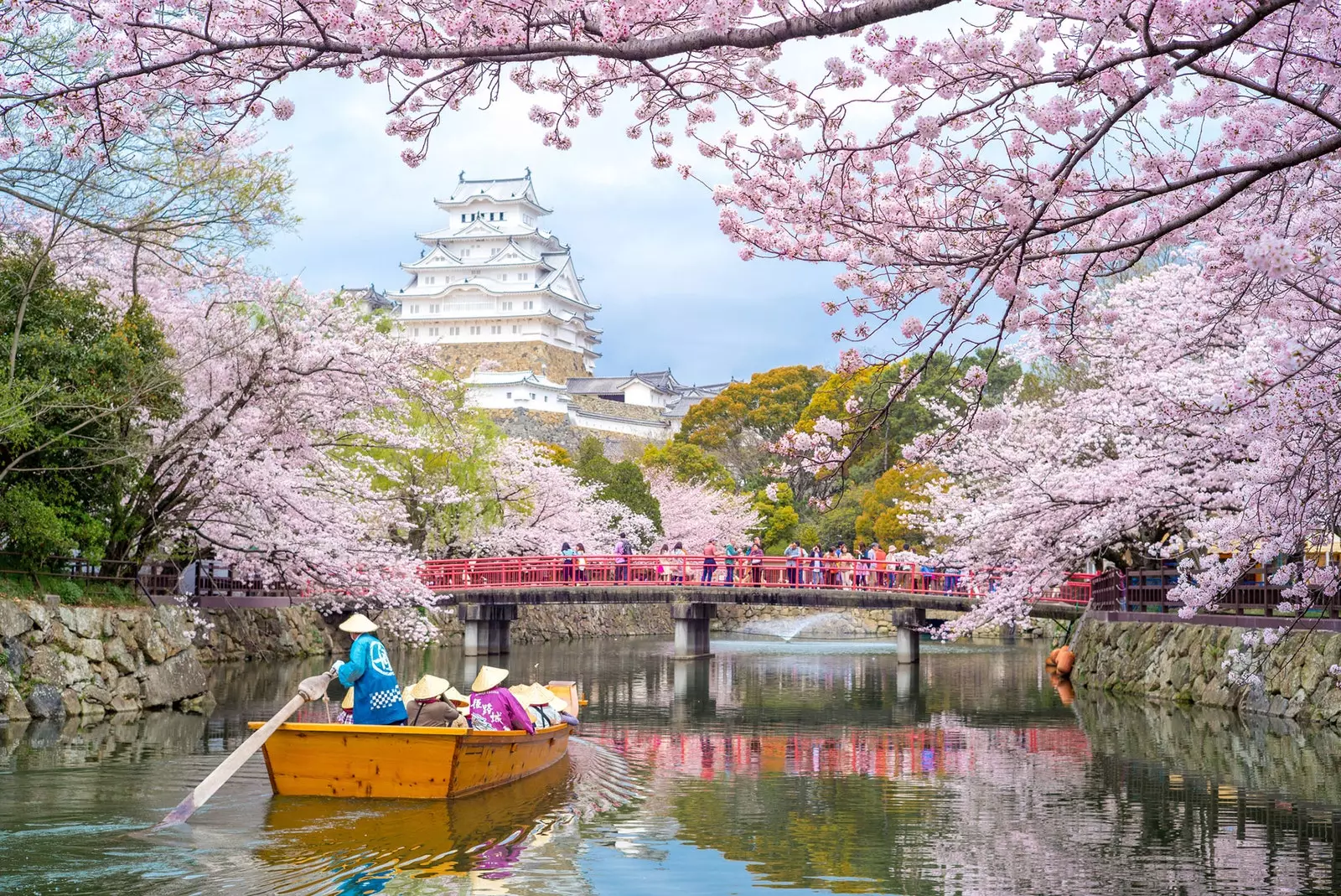 Stair 'hanami' machnamh ar bhláthanna silíní