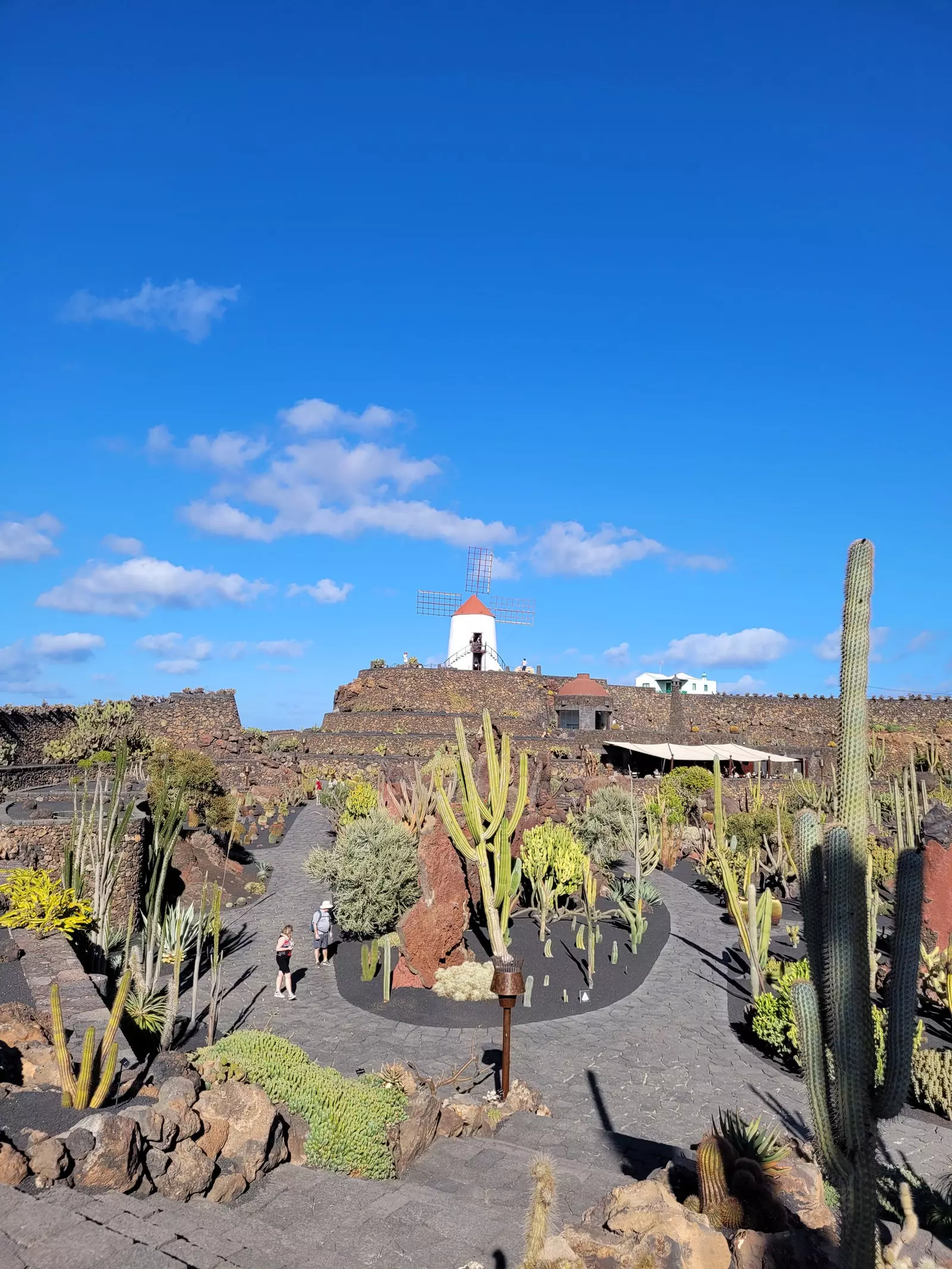 Lanzarote kaktüs bahçesi