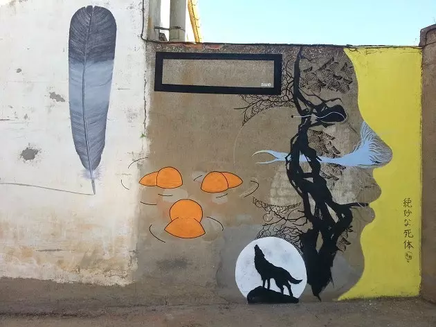 Graffiti takes over Castrogonzalo, a Zamoran village of 500 inhabitants