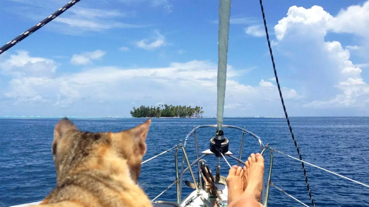 Een zeilboot, een kat en een surfplank: we reizen de wereld rond met de jonge avonturier Liz Clark