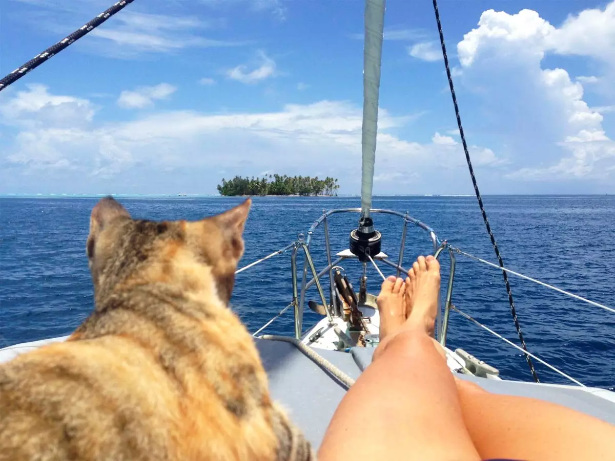 Liz and Amelia the sea cat