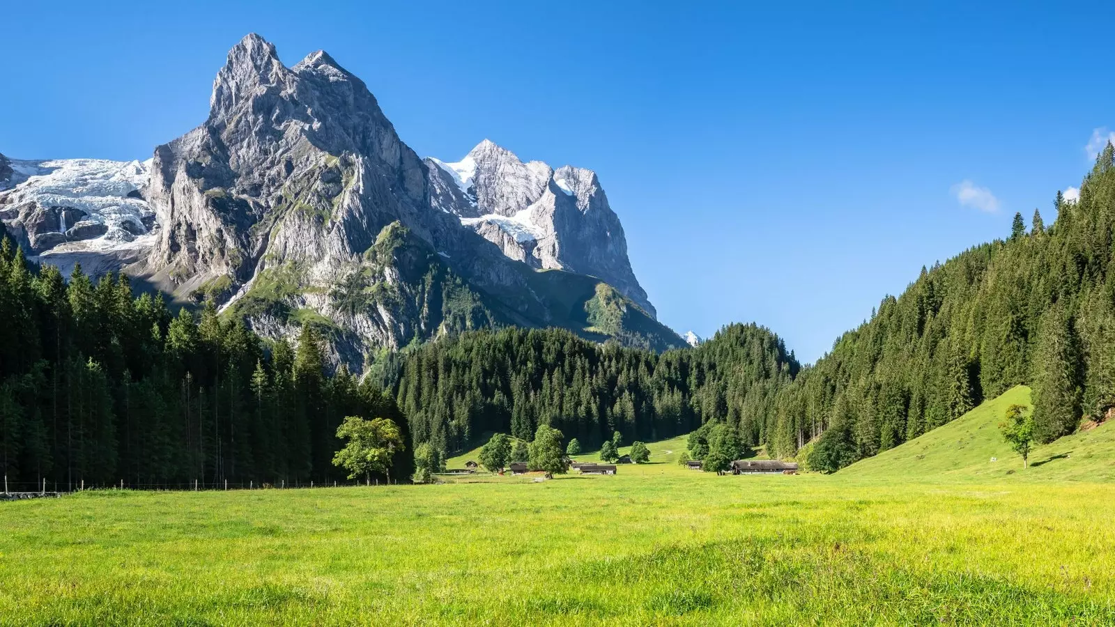 The Alps with thicker vegetation and less snow.