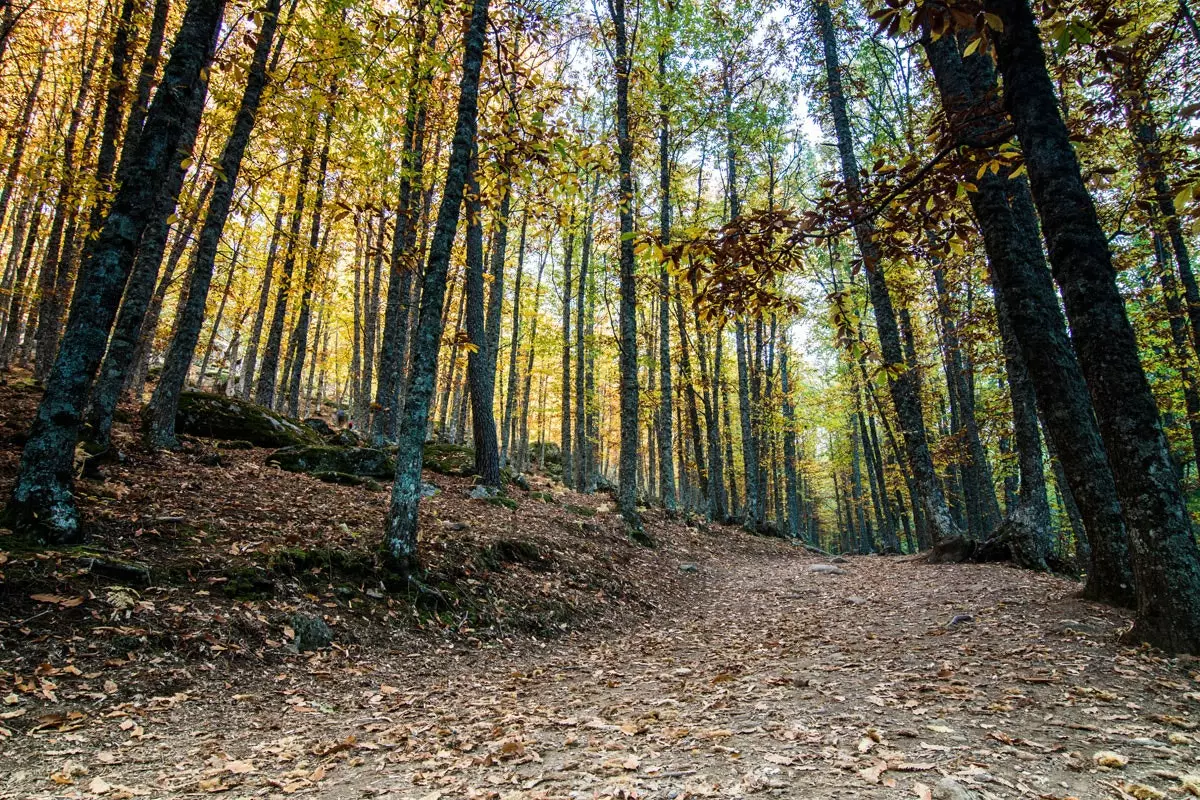 Popolna pokrajina za sprehod