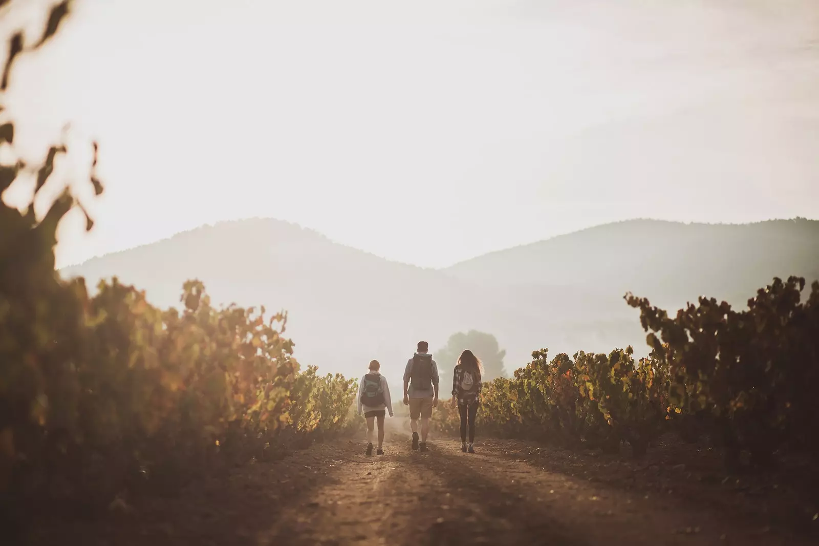 Pešia turistika medzi vinicami po ceste Levante