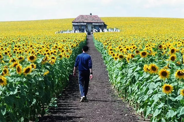 Шлях не завжди такий чіткий