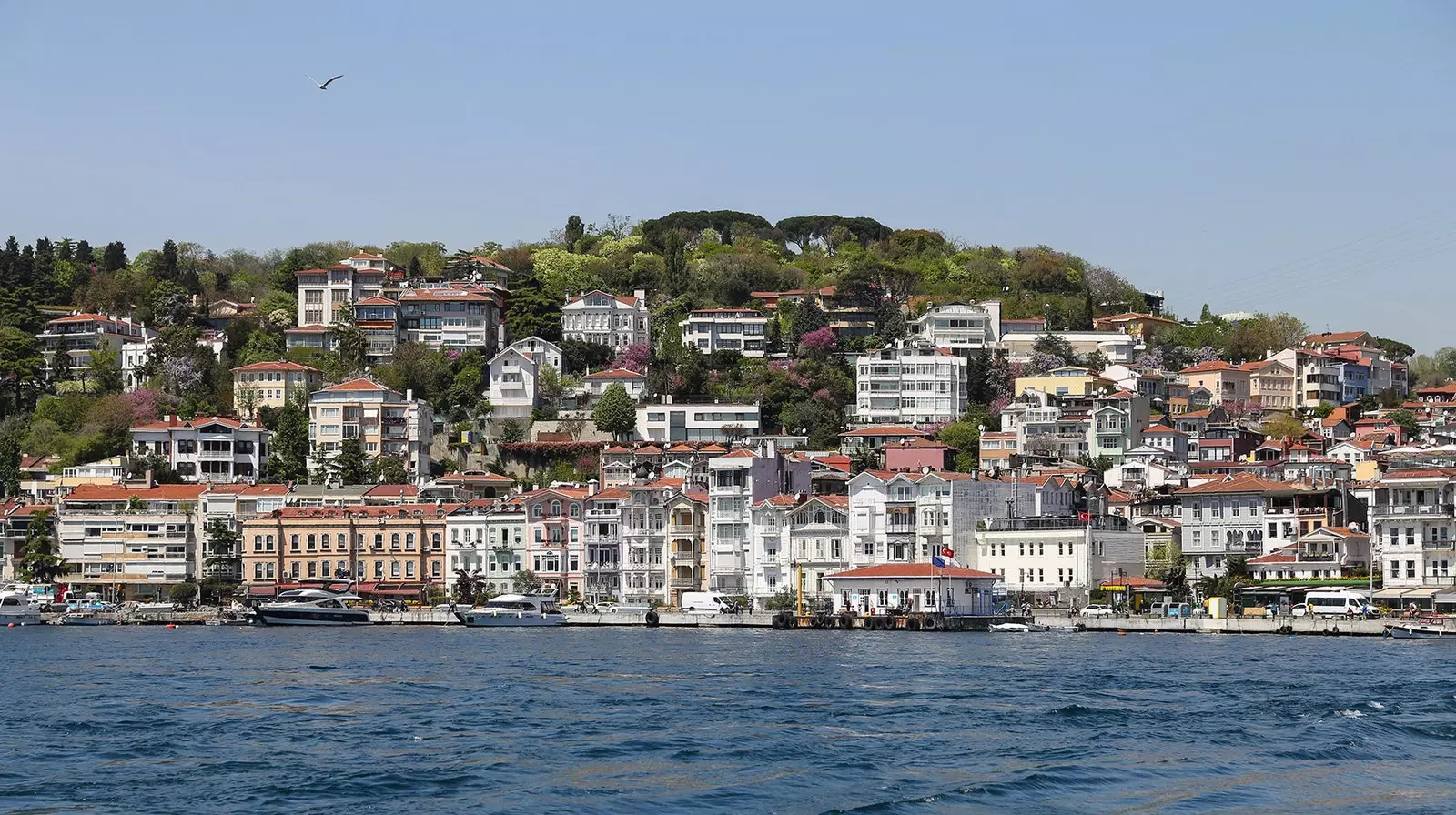 48 hours in Istanbul