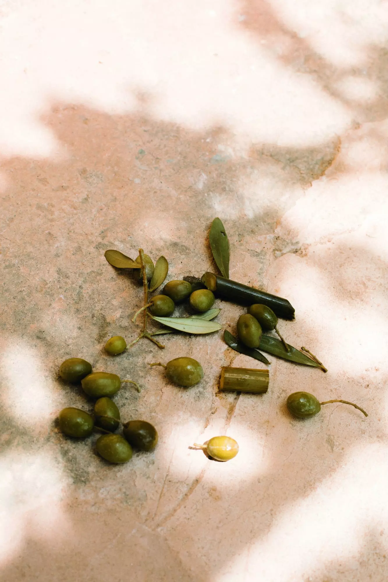 O ouro líquido maiorquino é extraído dessas azeitonas.